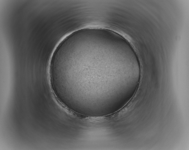 X0000113130864200909110913