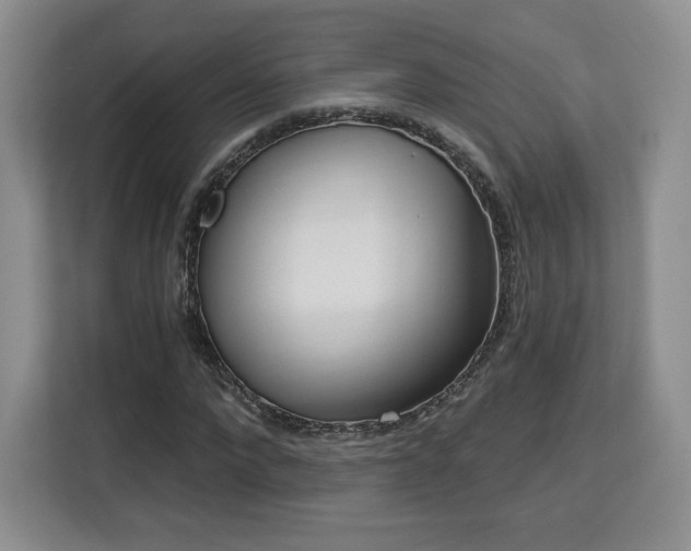 X0000113130872200909110912