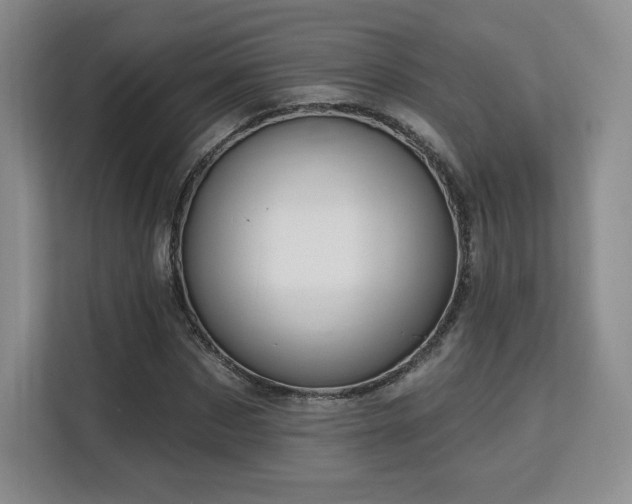 X0000113130873200909110912