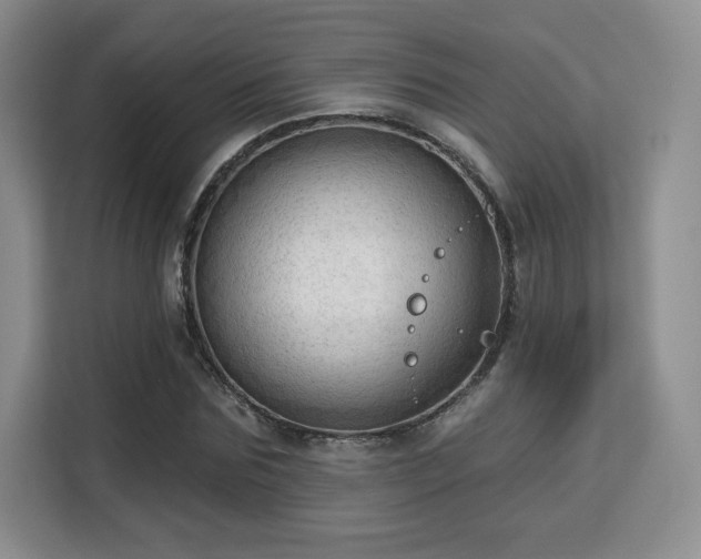 X0000113130875200909110912