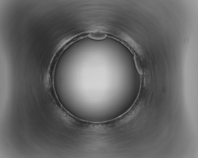 X0000113130876200909110912