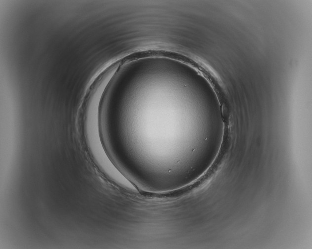 X0000113130877200909110912