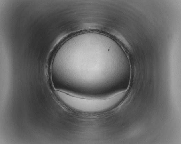 X0000113130878200909110912