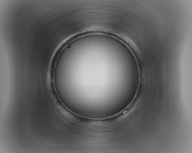 X0000113130880200909110912