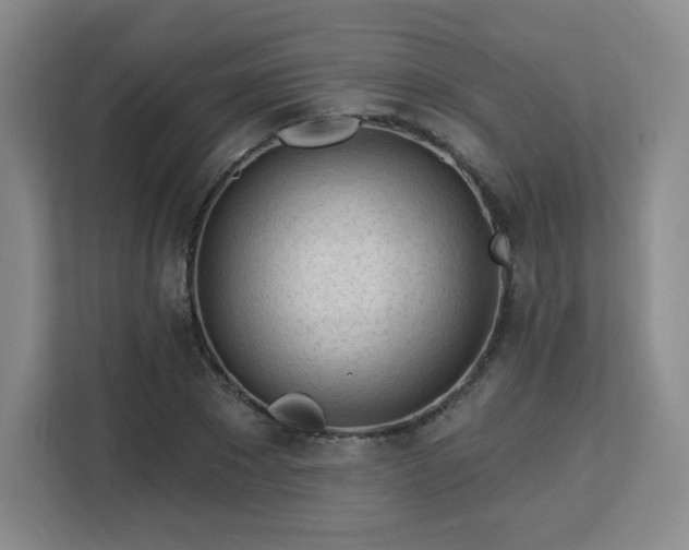 X0000113130881200909110912