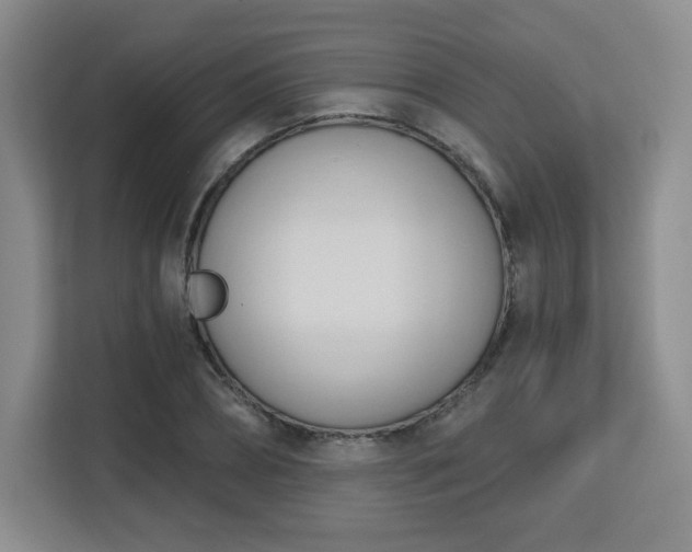 X0000113130882200909110912