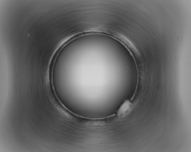 X0000113130884200909110912