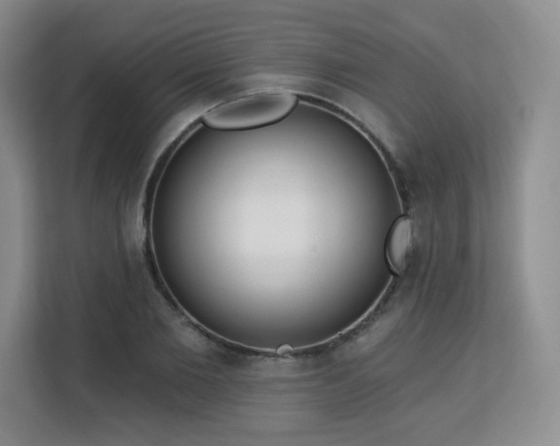 X0000113130885200909110912