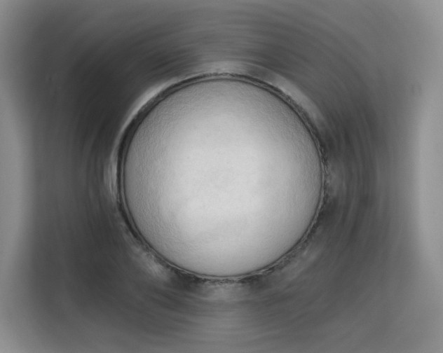 X0000113130886200909110912