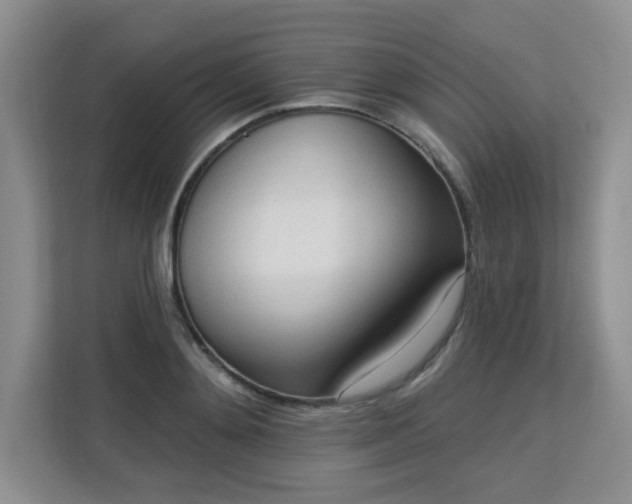 X0000113130892200909110912