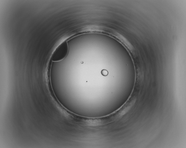 X0000113130893200909110912