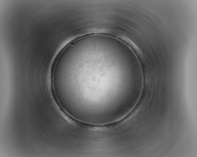 X0000113130894200909110912