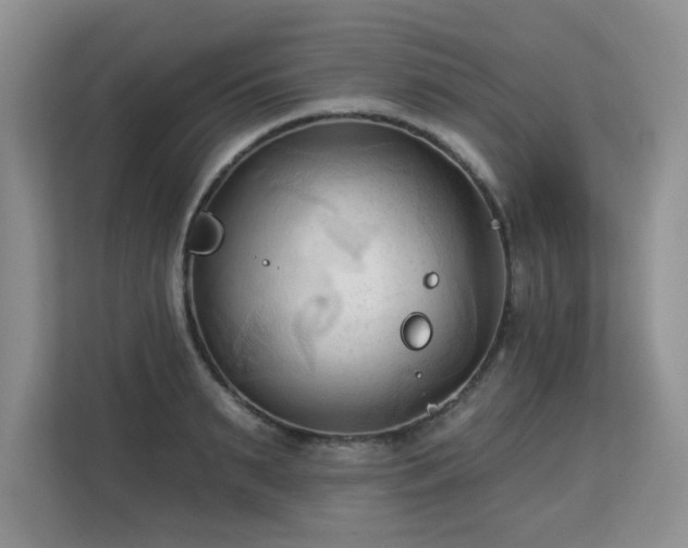 X0000113130895200909110911