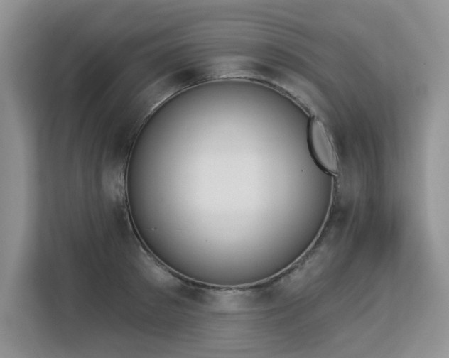 X0000113130897200909110911