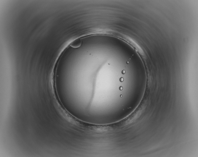 X0000113130899200909110911