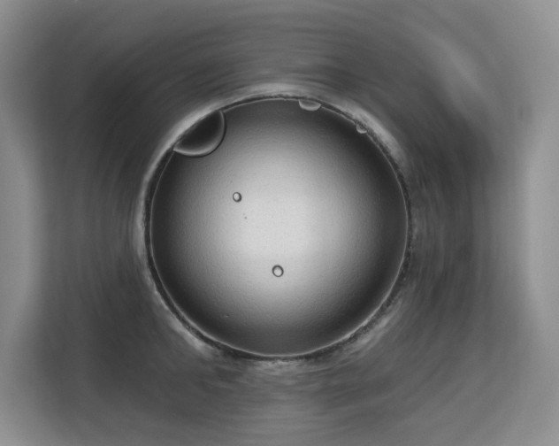 X0000113130902200909110911