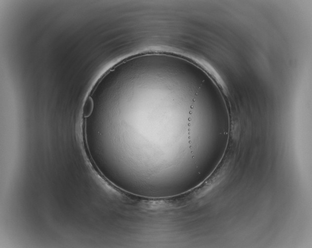 X0000113130903200909110911