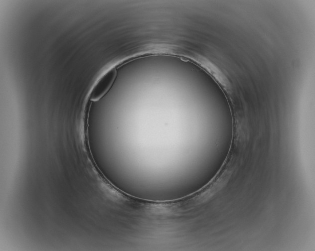 X0000113130904200909110911