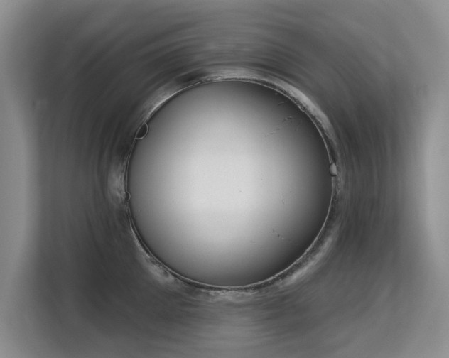 X0000113130905200909110911