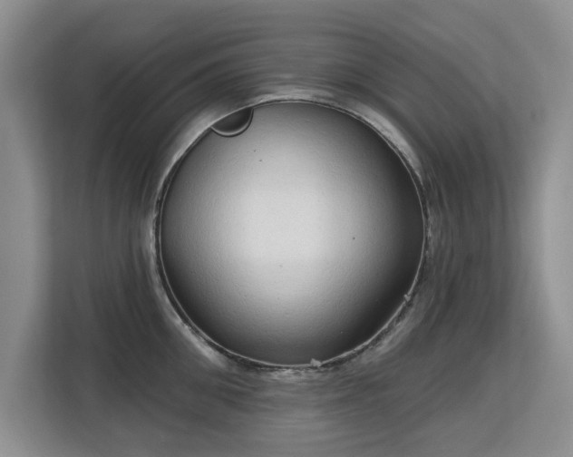 X0000113130906200909110911