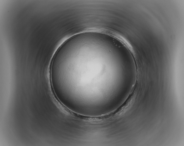 X0000113130907200909110911