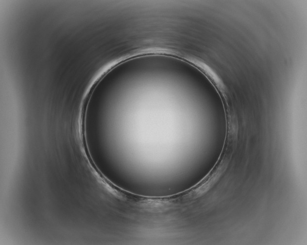 X0000113130910200909110911