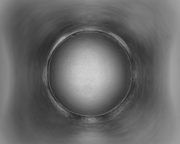 X0000113130911200909110911