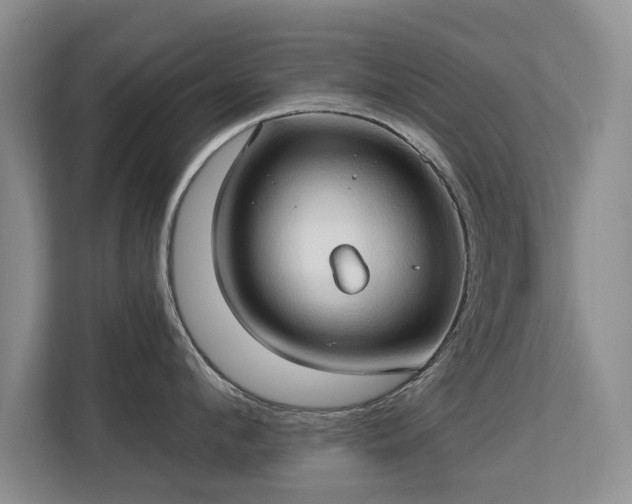 X0000113130912200909110911