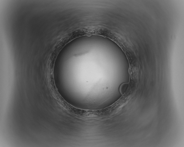 X0000113130913200909110911