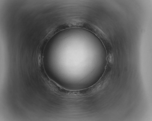 X0000113130915200909110911