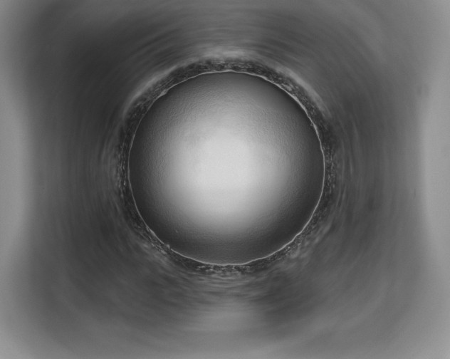 X0000113130919200909110911