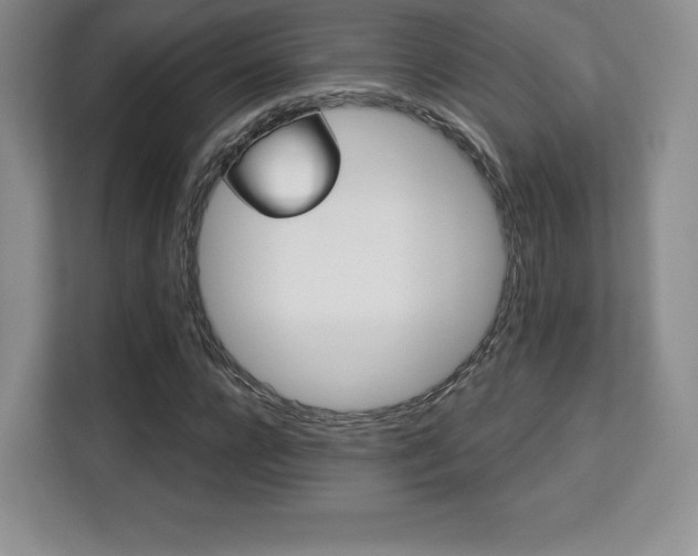 X0000113130920200909110911