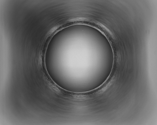 X0000113130921200909110911