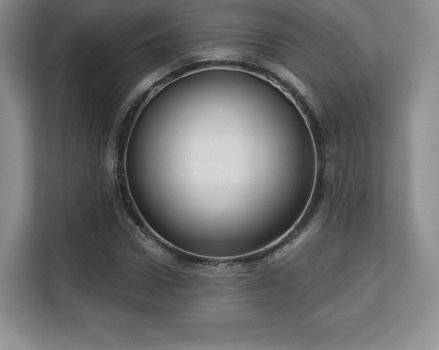 X0000113130922200909110911