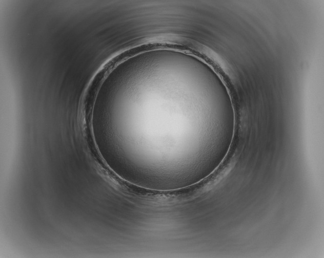 X0000113130923200909110911