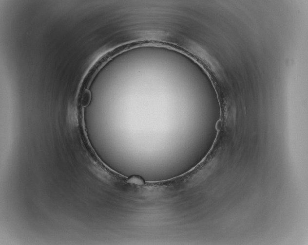 X0000113130924200909110911