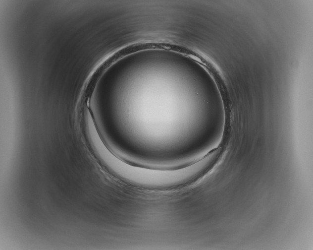 X0000113130925200909110911