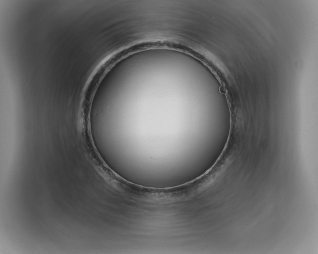 X0000113130927200909110911