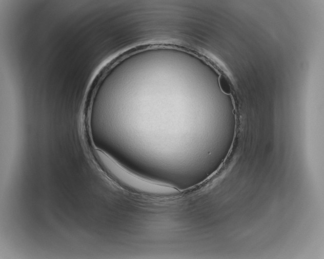 X0000113130928200909110911