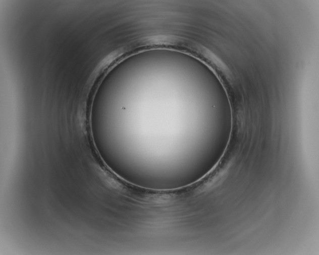 X0000113130930200909110911