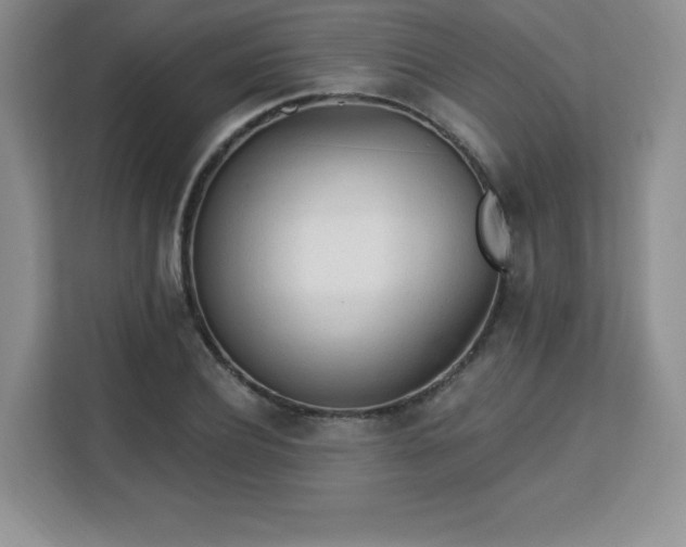 X0000113130932200909110911