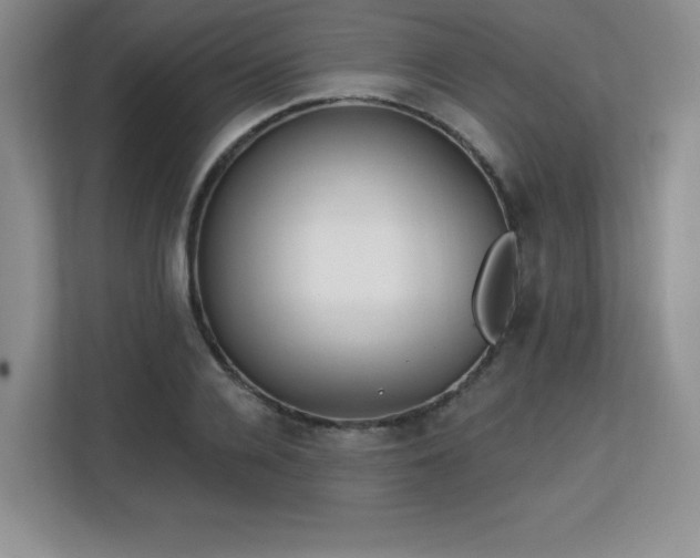 X0000113130936200909110911