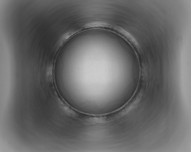 X0000113130937200909110911