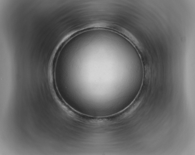 X0000113130939200909110911