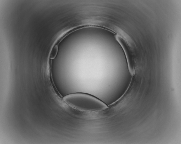 X0000113130940200909110911