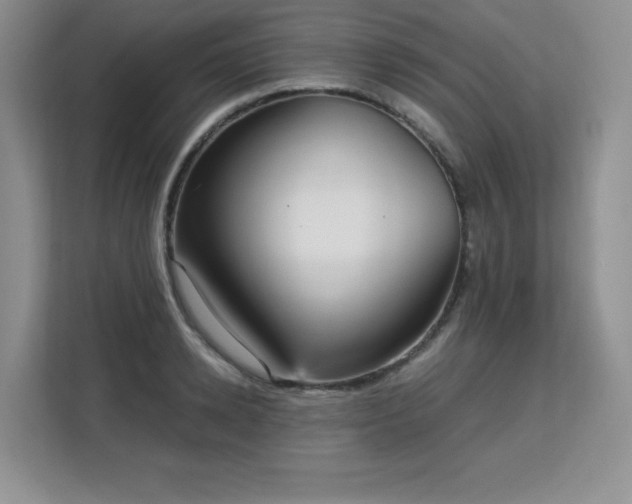 X0000113130942200909110911