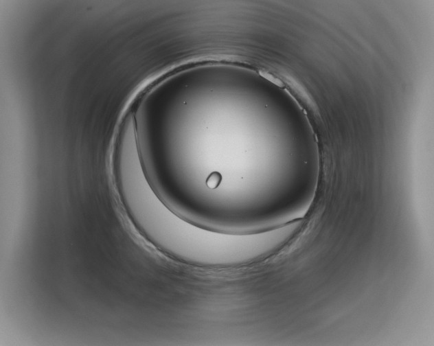 X0000113130944200909110911