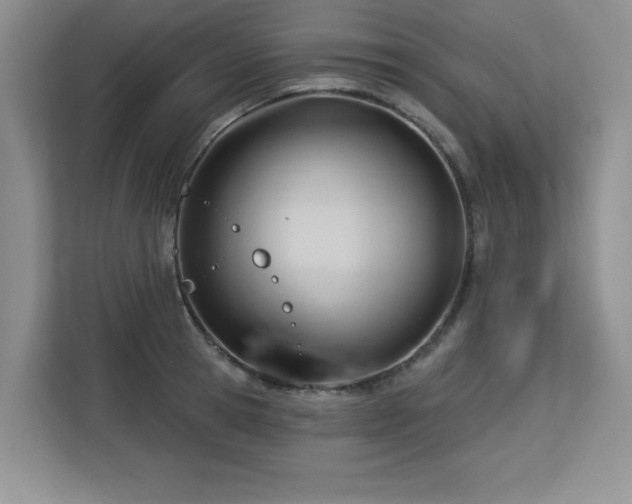 X0000113130945200909110911