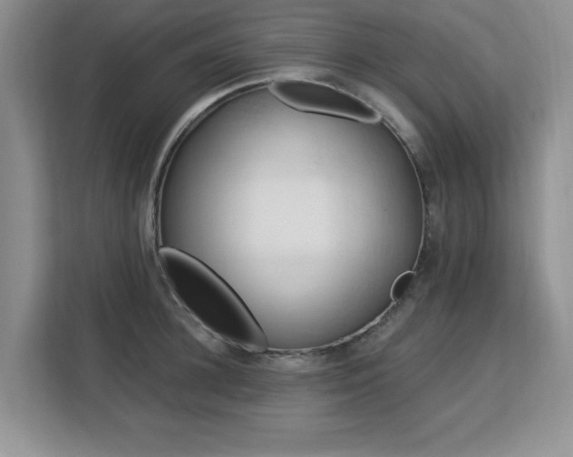 X0000113130948200909110911