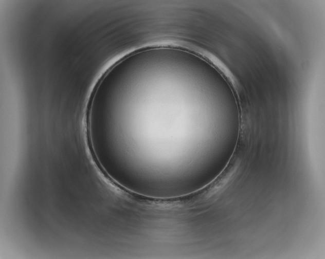 X0000113130951200909110911